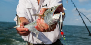 Fishing Charter